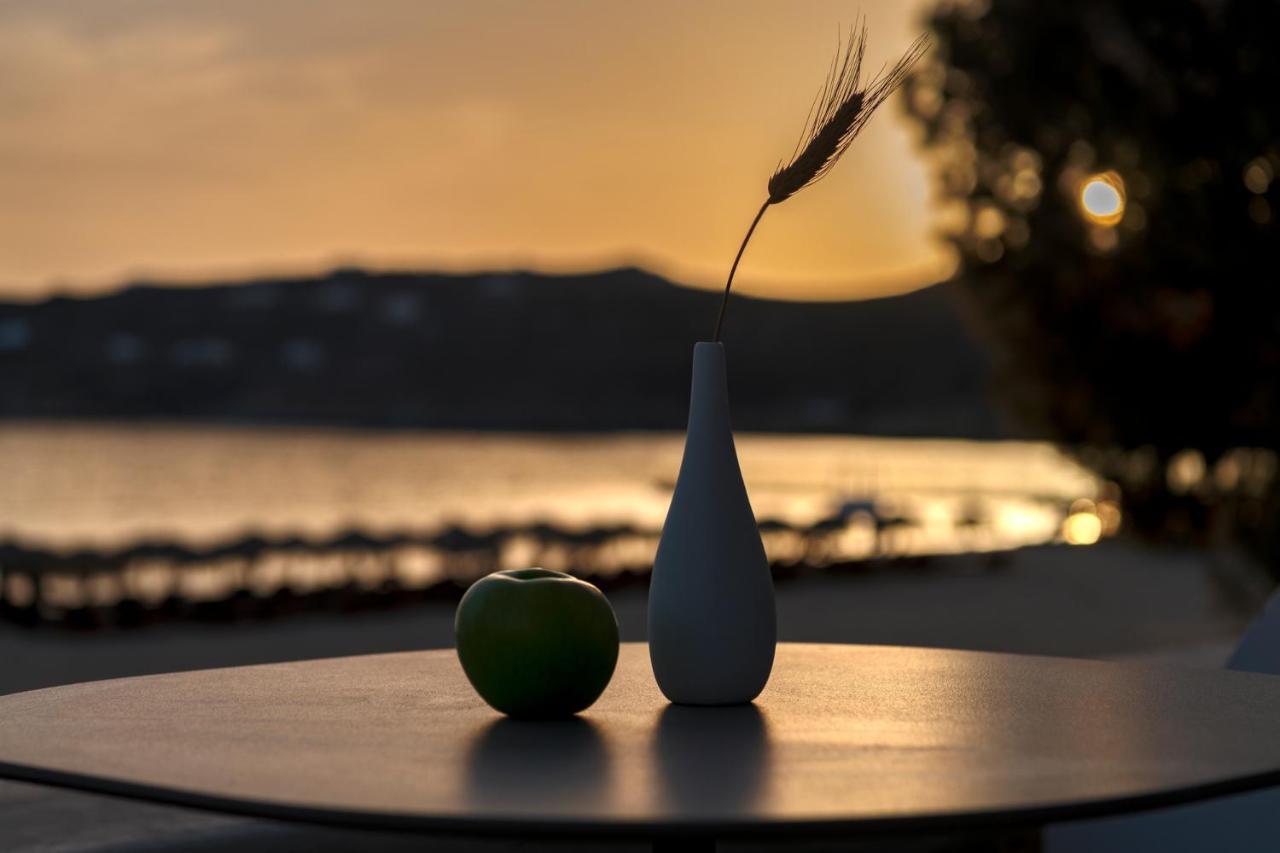 Elia Mykonos Resort Buitenkant foto